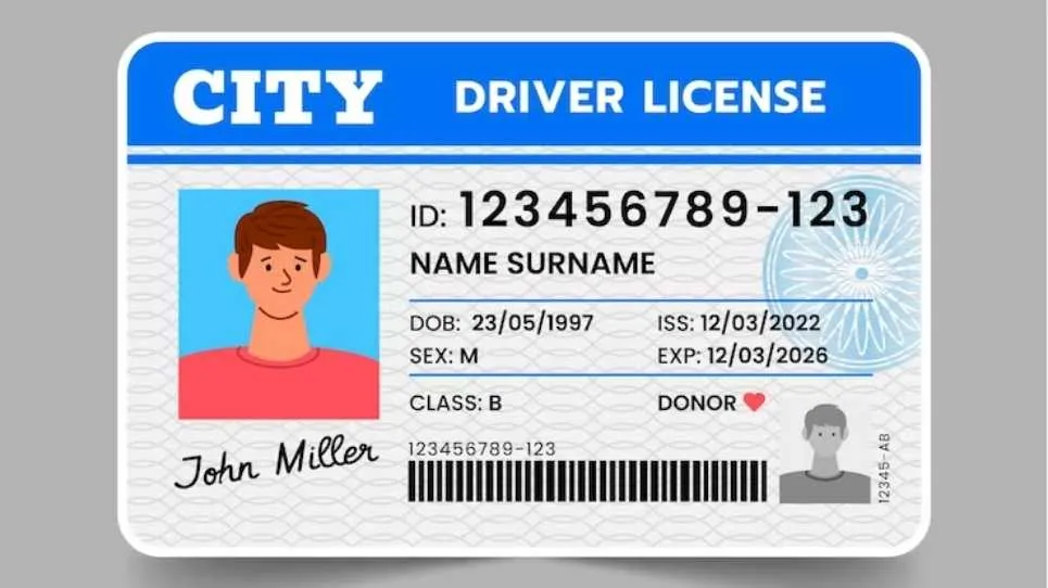 What You Need to Renew Your Drivers License in South Africa