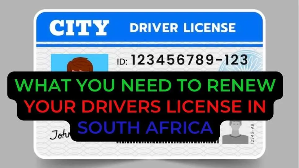 What You Need to Renew Your Drivers License in South Africa