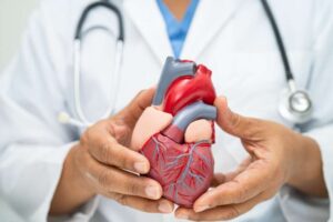 Where Is the Heart Located in the Body? A Comprehensive Guide | Monkicon.com