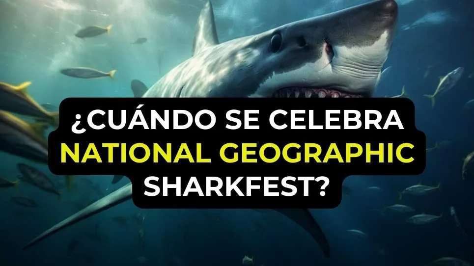 ¿Cuándo se celebra National Geographic SharkFest?