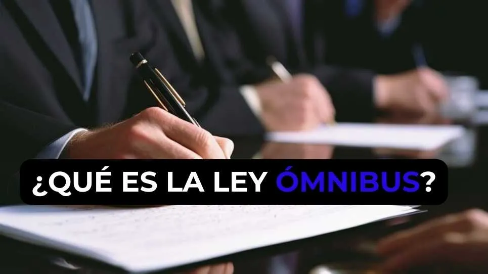 ¿Qué es la Ley Ómnibus?